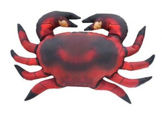 Gaby Crab / Rak